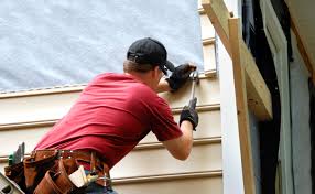 Best Siding Painting and Refinishing  in Red Bud, IL